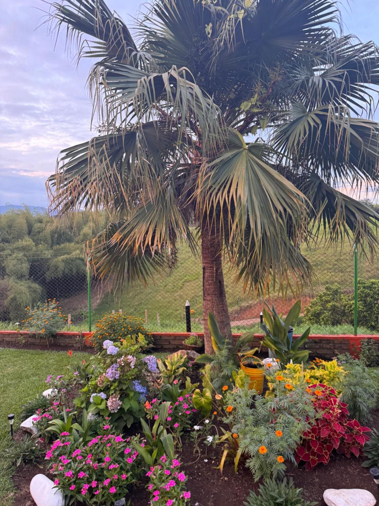 Finca La Gaviota Montenegro Exterior photo